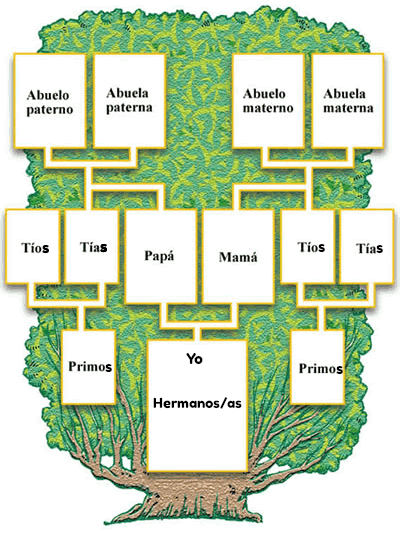 Árbol genealógico plantilla